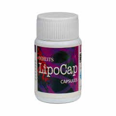 Dehlvi Naturals Lipocap Capsule