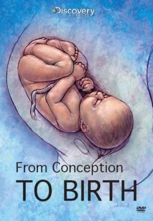 from conception to birth_20201028090225