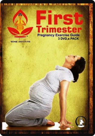 pregnancy exercise guide 1st trimester 3 dvd,s_20201028090226