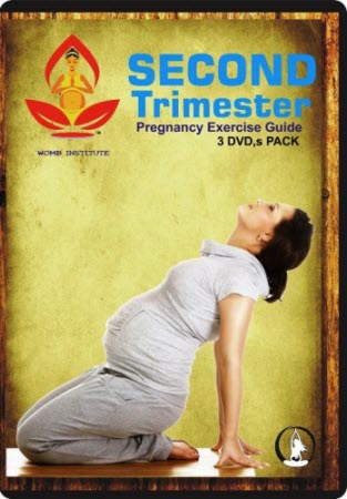 pregnancy exercise guide 2nd trimester 3 dvd,s_20201028090226